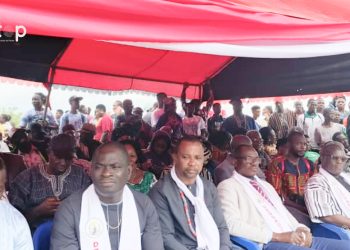 Danyi/Culture : Le peuple de Danyi a célébré sa fête de retrouvailles ” Dzogadze zan”.
