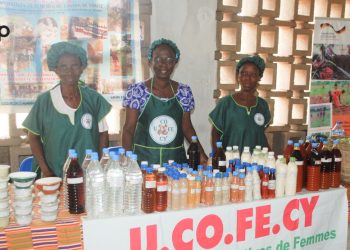 Kloto :  une foire de la COPAGEN-Togo pour valoriser les semences paysannes et les produits agroécologiques