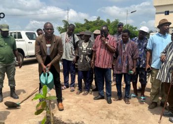 Avé : 800 jeunes plants mis en terre à Foguegue dans le cadre de la fête traditionnelle « Avéza »