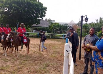 Equestre/tournoi de horse-ball : belle entame du club hippique de Sarakawa