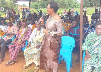 Yoto : Les natifs de Tchékpo célèbrent la fête traditionnelle « Tchékpo Bli-Zan »