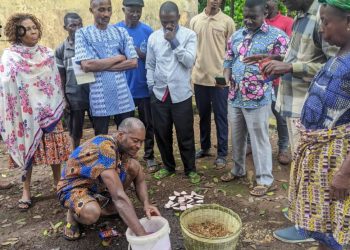 Agou/culture de l’igname :  des producteurs édifiés sur des méthodes agricoles innovantes pour améliorer leurs rendements