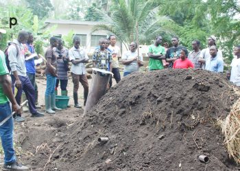Kloto/techniques de carbonisation du bois à la meule casamançaise : Les étudiants en foresterie de l’INFA de TOVE outillés