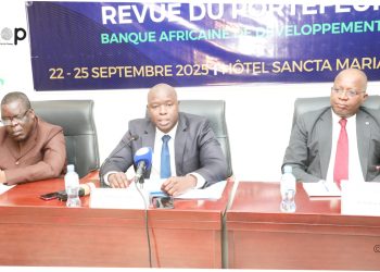 Partenariat axé sur le développement des chaînes de valeur :   la BAD examine l’état d’exécution des activités