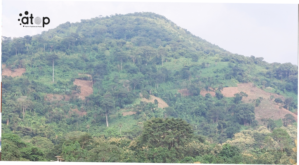 Dossier : La forêt classée des deux rivières Béna dans la préfecture de Wawa, un site en péril 1 Oliver 2025 09 25T150354.313