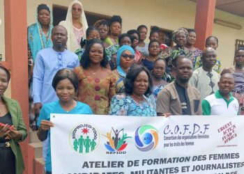 Haho/violences politiques sexistes en période électorale : les femmes en atelier de prévention à Notsè