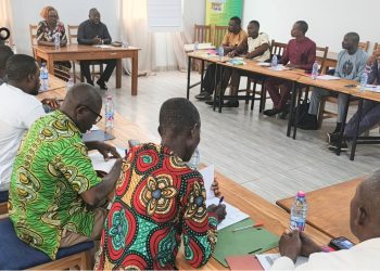 Zio/Masculinité positive : Des « champions de changement » en renforcement de capacités