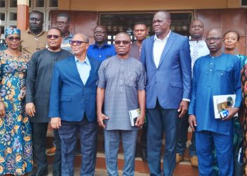 Ogou : Des maires et leurs adjoints élus dans les communes des Plateaux Est