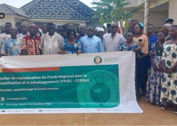Tone/mise en œuvre du FSRD dans les Savanes : Les acteurs capitalisent les acquis