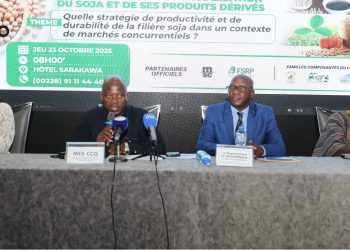 Campagne de commercialisation du soja 2025-2026: Le prix de la graine plancher bord champ fixé à 220 FCFA le kilogramme