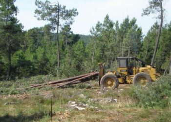 Environnement : Le ministère lance le processus d’actualisation de la base de données relative aux activités forestières et aux agréments