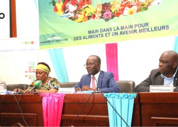 Journée mondiale de l’alimentation 2025 : La résilience et l’inclusion de la chaine fortement encourages au Togo