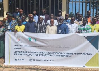Mis en œuvre du projet PAPIDPPP : Des entrepreneurs de la centrale renforcent leurs capacités à Sokodé