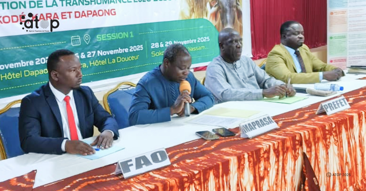 13 Le representant du directeur de cabinet du ministere ouvrant les assises