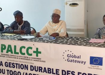 Tchaoudjo : Lancement des activités d’élaboration du plan d’aménagement de la forêt classée de Sokodé