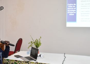 Ogou : Le plan de gestion de la transhumance 2026-2030 pré-validé à Atakpamé
