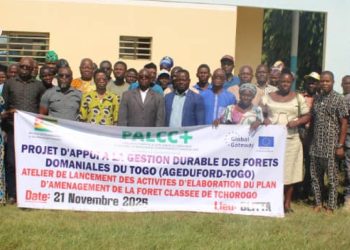 Blitta : bientôt un plan d’aménagement pour la forêt classée de Tchorogo