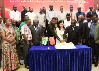 Coopération sino-togolaise : L’Ambassadrice Wang Min dresse le bilan et présente les perspectives