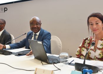 Le rapport du FMI sur les perspectives économiques et régionales de l’Afrique subsaharienne présenté