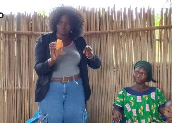 Zio/Promotion de la patate douce à chair orange : Une structure accompagne trois coopératives de producteurs