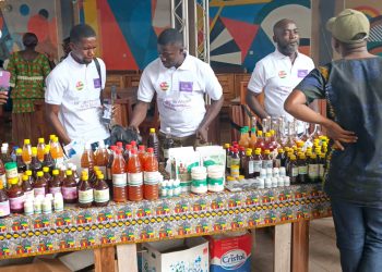 Zio : La 23è journée africaine de la médecine traditionnelle célébrée à Tsévié