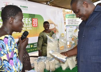 Ogou : des journées promotionnelles des filières riz, volailles et maraichage à Atakpamé