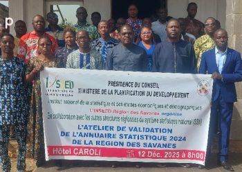 Tône/Données statistiques : L’annuaire provisoire 2024 des Savanes validé