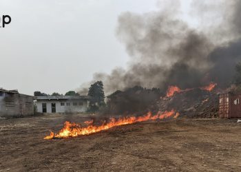Agoè-Nyivé : Des tonnes de drogues et autres produits illicites détruits