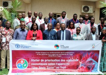 Kloto : un atelier national de priorisation des zoonoses au Togo se tient à Kpalimé