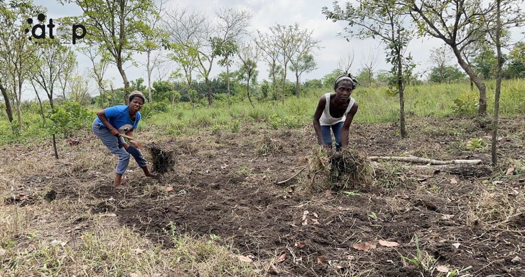 JIF 2026 : À Agbessia, les femmes rurales célèbrent avec des houes et des coupe-coupe 1 Oliver 3 3