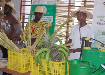 Kpalimé/Agroécologie : Une journée portes ouvertes promeut les produits locaux et renforcer les marchés territoriaux 2 Kpalimé/Agroécologie : Une journée portes ouvertes promeut les produits locaux et renforcer les marchés territoriaux