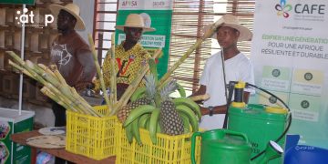 Kpalimé/Agroécologie : Une journée portes ouvertes promeut les produits locaux et renforcer les marchés territoriaux 5 Kpalimé/Agroécologie : Une journée portes ouvertes promeut les produits locaux et renforcer les marchés territoriaux