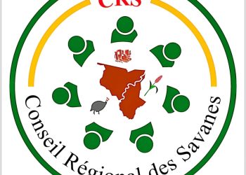 Décentralisation/2e session ordinaire du Conseil régional :  Le logo de l’institution présenté aux acteurs