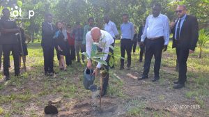 Coopération décentralisée : le ministre français des affaires étrangères en visite de travail à Aného 2 31 Mis en terre de jeune plant de badamier