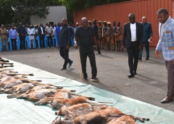 Kozah/  Fin de la chasse traditionnelle en pays Kabyè, en présence du Président du Conseil