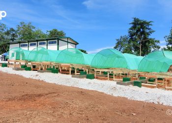 WAWA/Un centre de traitement pos-récolte de Cacao d’excellence inauguré à Abréwankor