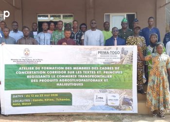 Binah/ Les textes réglementaires du Commerce transfrontalier : Les membres des cadres de concertation corridor outillés à Kétao