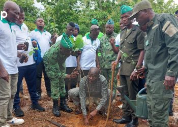 Akébou : 1250 Plants mis en terre à Kougnohou en prélude au 1er juin prochain