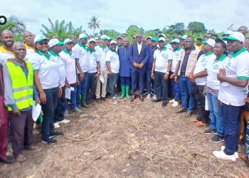 Yoto : Le CIRPEF promeut l’agroforesterie pour restaurer les terres agricoles