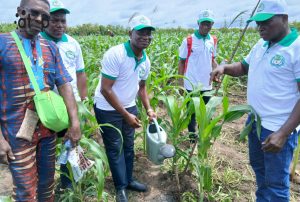 12 Le president du CIRPEF arrose son plant