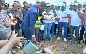 13 Le directeur du cabinet du ministere de lenvironnement arrosant son plant