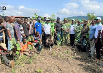 Kloto : 2 700 plants mis en terre à Womé pour renforcer la couverture forestière