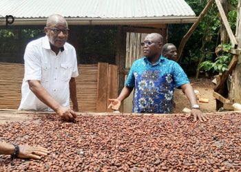 Kloto/Café et cacao au Togo :   Les médias appelés à accompagner la dynamique de développement des deux filières