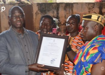 Agou/Société :  Togbui Adabrah Dunényo X intronisé chef du village d’Agou-Apéganmé