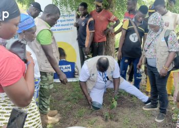 Binah : L’ONG AED LIDAW TOGO restaure des forêts communautaires 