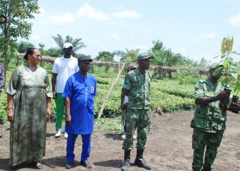 Relancer les filières café et cacao au Togo : Près de 400 000 plants remis aux producteurs