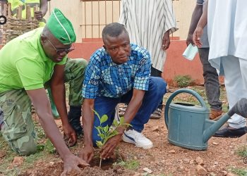 Bassar/reboisement : L’association « Bâtissons la cité » met en terre 1.500 plants à Binaparba