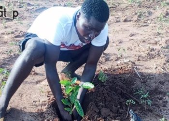 Bas-mono/journée nationale de l’arbre : l’association ‘’Green future for west africa’’ met en terre 620 plants à Afagnan