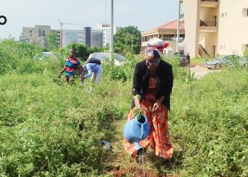 Journée nationale de l’arbre : 200 plants mis en terre par des agents du ministère de la Communication