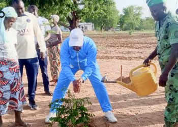 Tône/campagne nationale de reboisement 2026 :  71 000 plants mis en terre dans la région des Savanes   